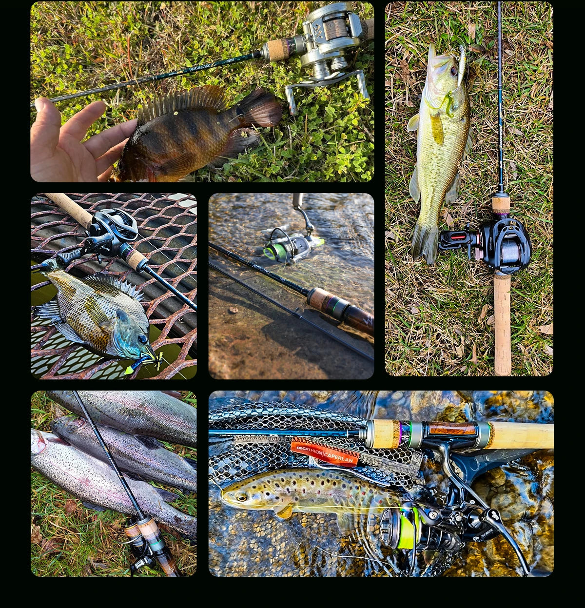 HANDING 78g Micro BFS Canna da pesca Canna da pesca in carbonio Peso esca 1-8g FUJI ®   Anelli guida O+A Alimentazione UL/L per canna da pesca alla trota BFS